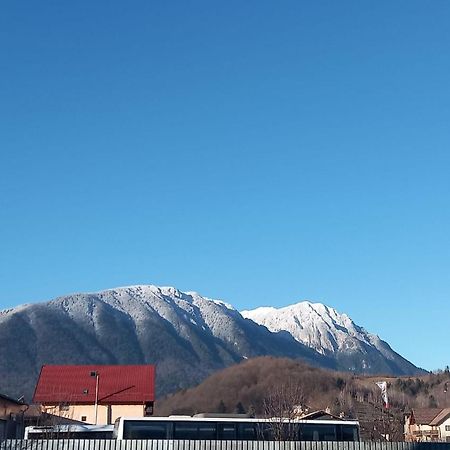 Piatra Craiului Residence Zărneşti Esterno foto
